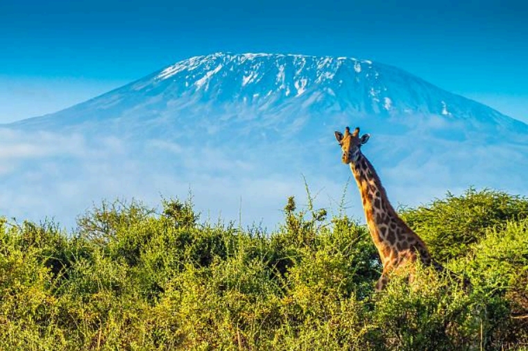 flights-to-tanzania_Kilimanjaro