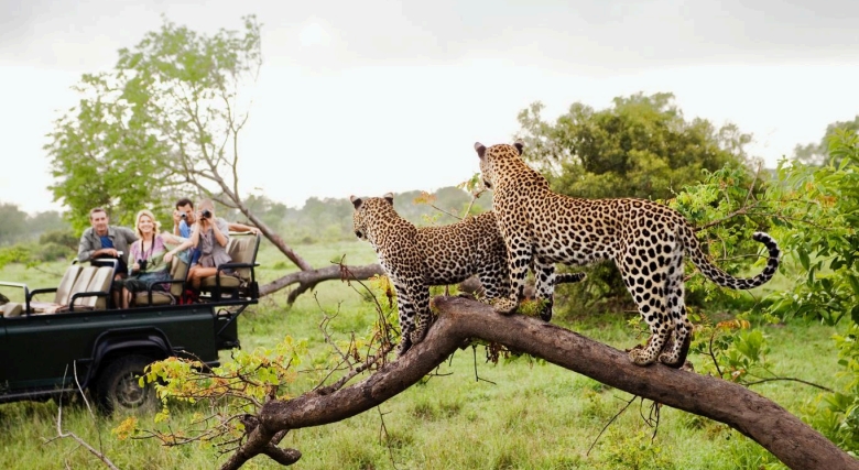 kruger national park